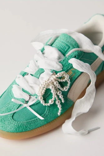 Shoe Lace & Charms Set