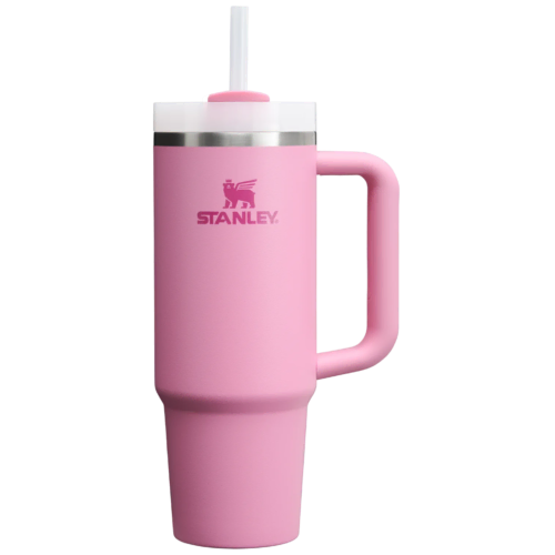 Stanley Tumbler Cup