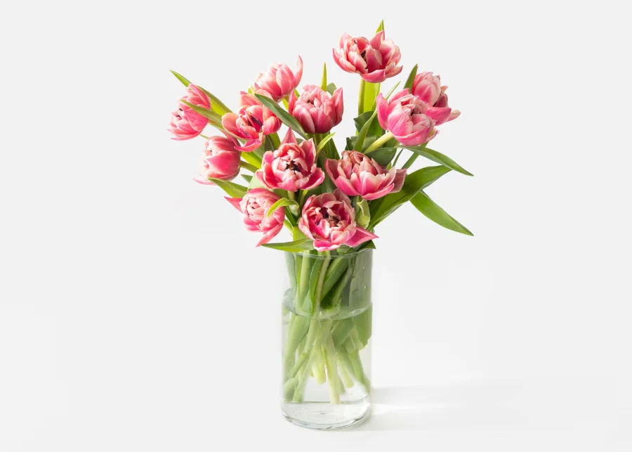 The Dutch Tulips Bouquet (Single) 